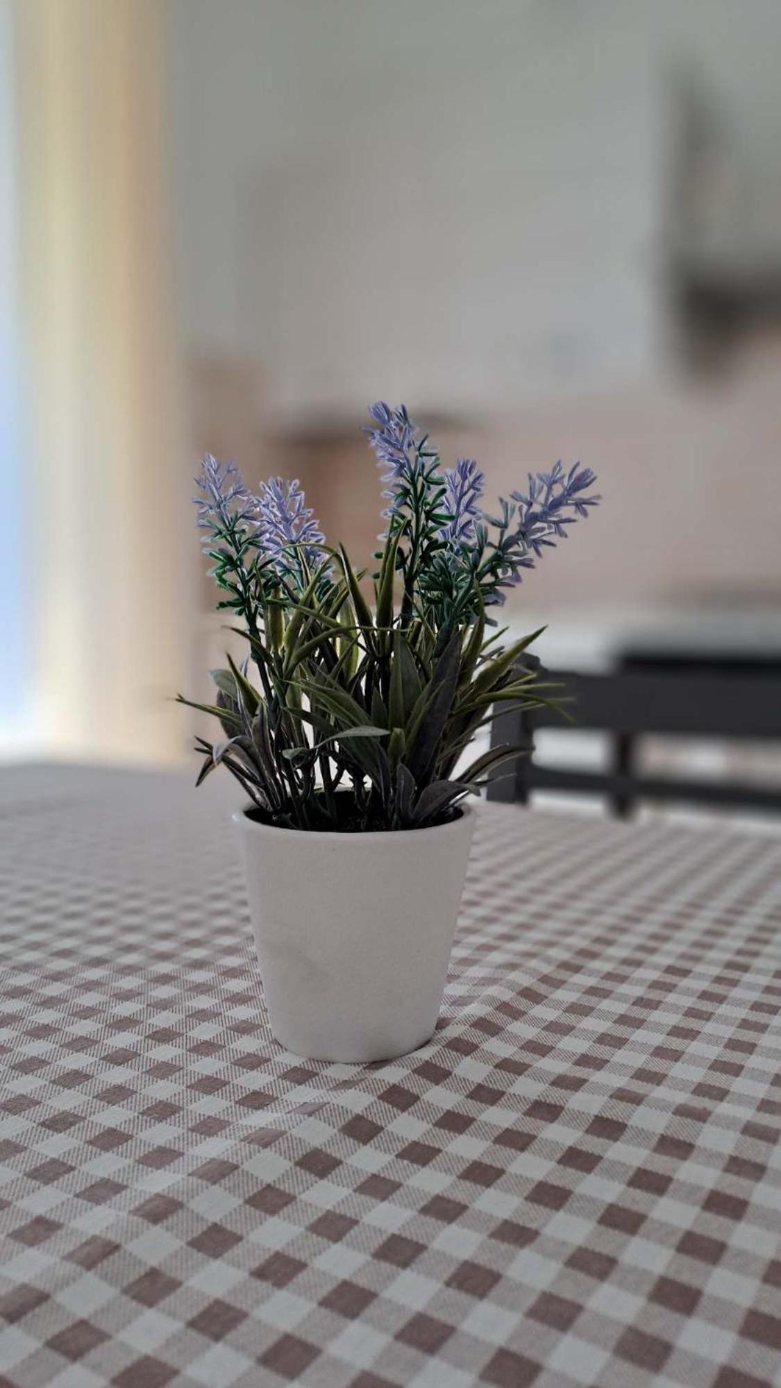 La Tappa Del Vignaiolo Home Mamoiada Extérieur photo